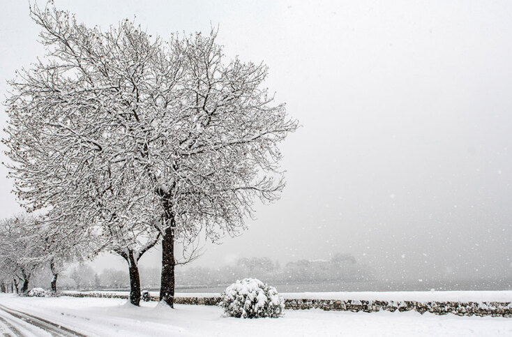 Κακοκαιρία «Σοφία»