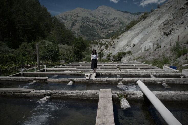 Ηλέκτρα Μάιπα - “Nymphs”. Performance for the camera, 2017