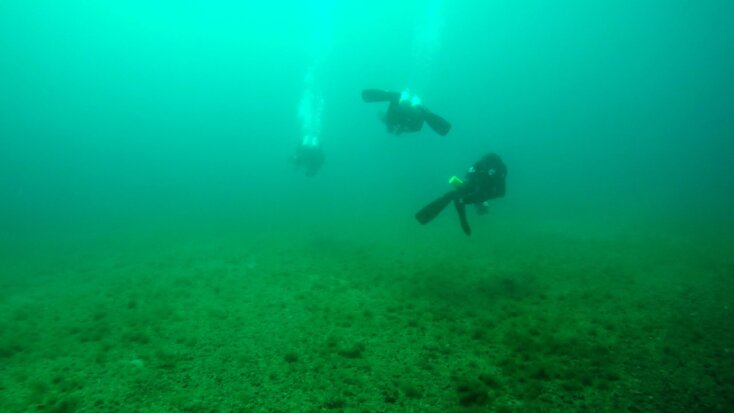 3_divers_from_underwater_video.jpg