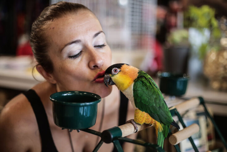 Pet Shop Creatures - Σοφία Βιδάλη