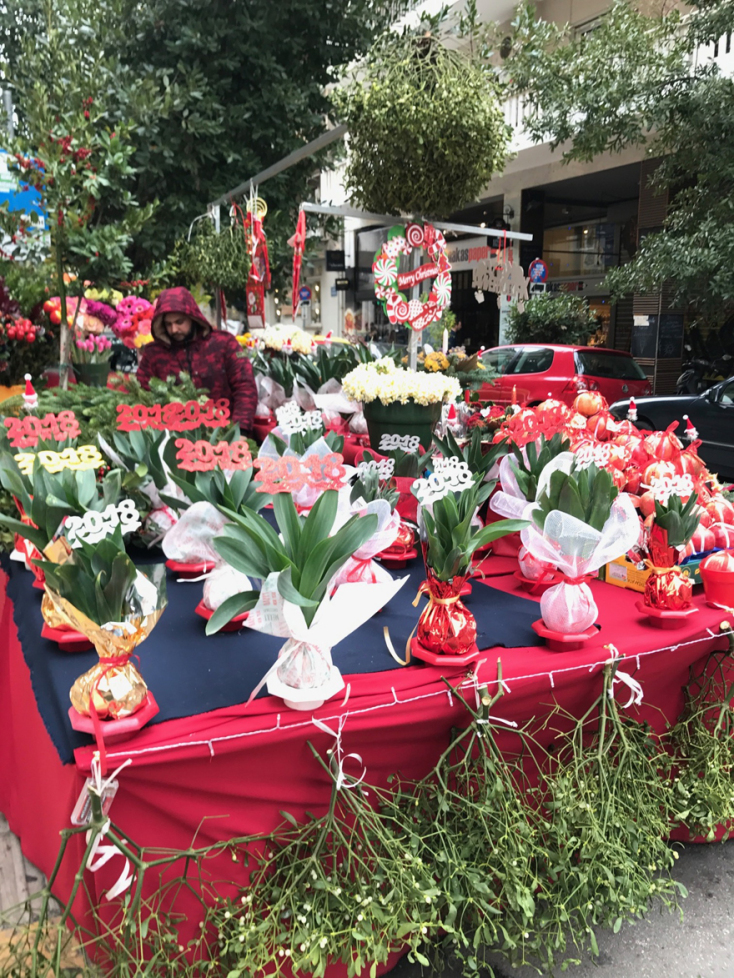 Ανεβαίνοντας τη Σκουφά