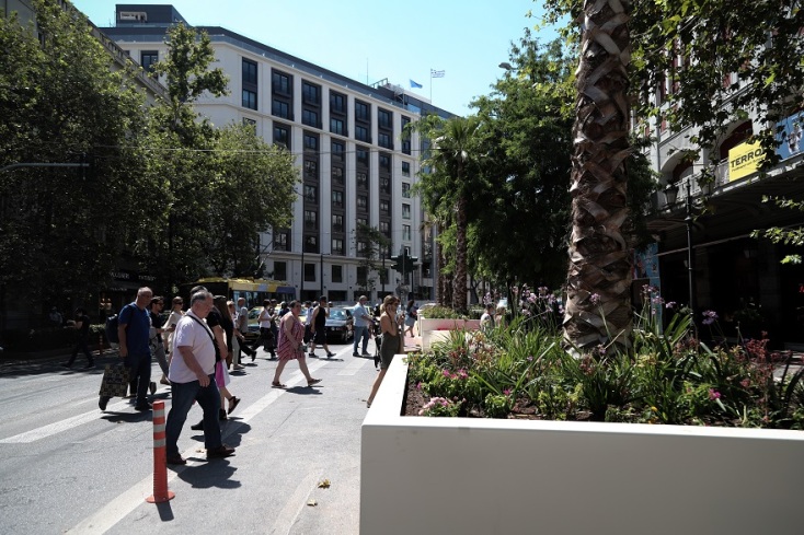 Οι φοίνικες στην Πανεπιστημίου μπήκαν στο πλαίσιο των αλλαγών που φέρνει ο «Μεγάλος Περίπατος της Αθήνας»