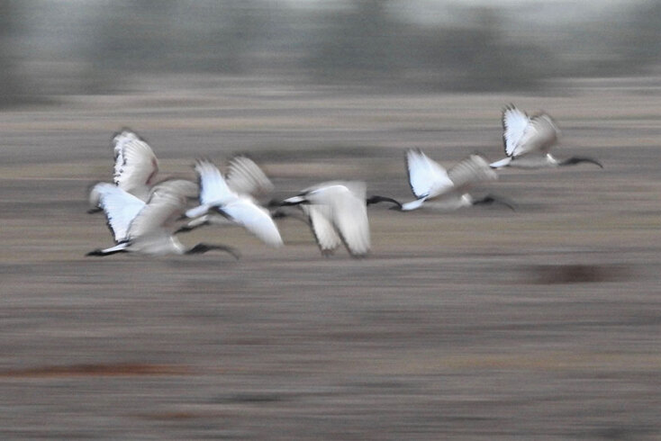 Φωτογραφία της Τώνιας Δραγούνη