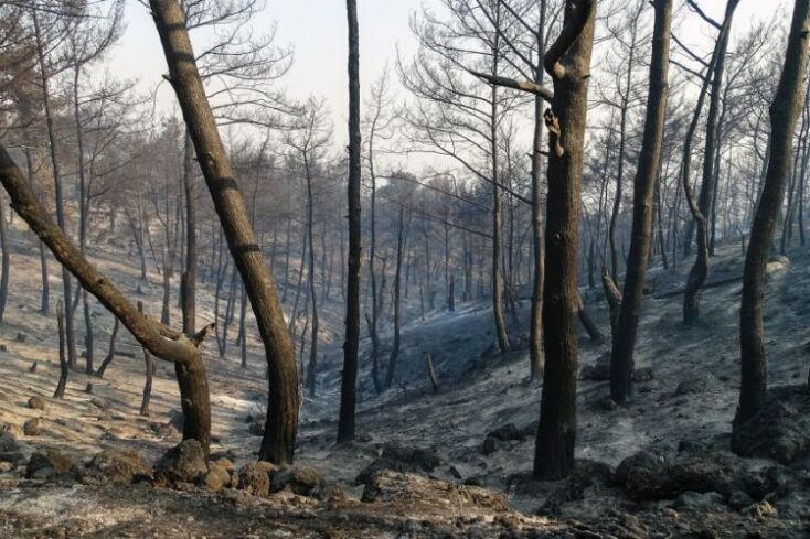 Η φωτιά στη Ρόδο μετέτρεψε σε αποκαΐδια περίπου 10.000 στρέμματα δασικής και αγροτικής έκτασης © EUROKINISSI 