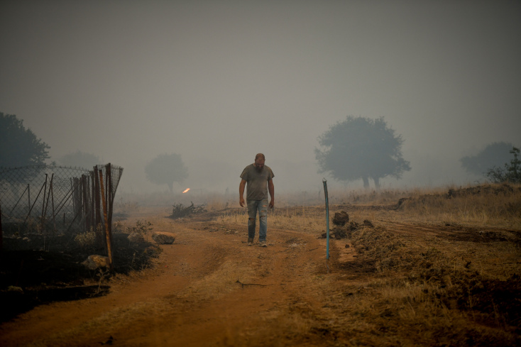 Φωτιά στα Βίλια © EUROKINISSI 