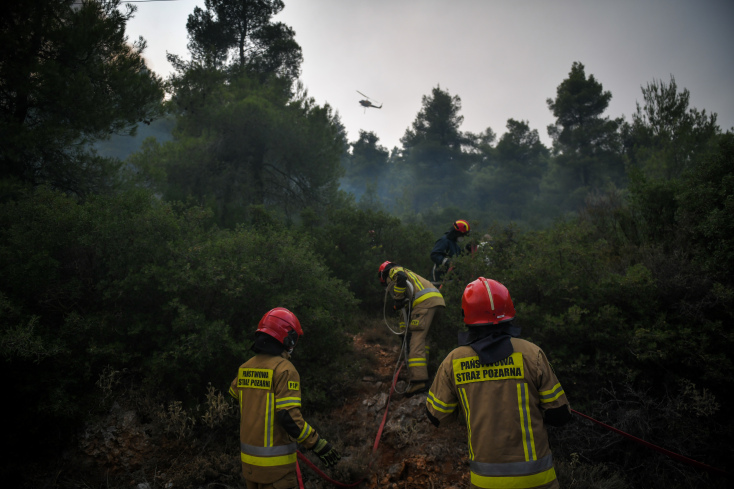 Φωτιά στα Βίλια © EUROKINISSI 