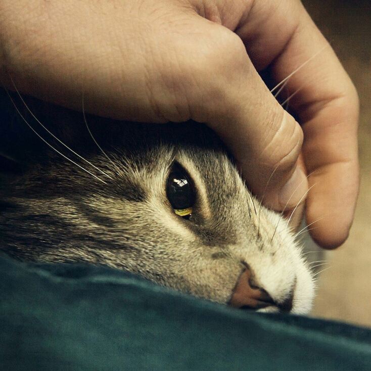 Giorgis Hristodoulou - Menoume Spiti