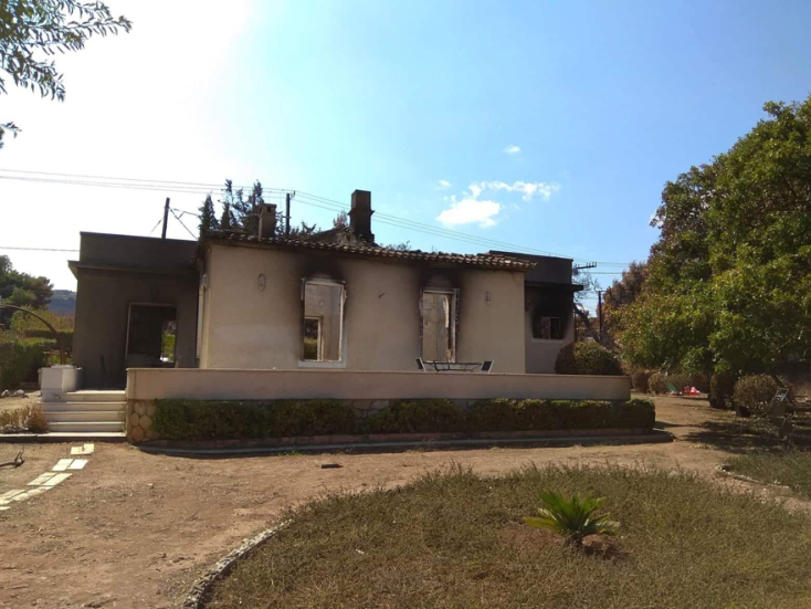 Μαριάννα Πούργαλη «23 δέντρα, μια ιστορία», Project Art 4 Mati