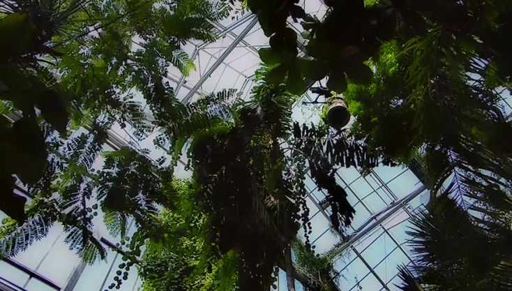 Jonian Bisai &amp; Sotiris Tsiganos, Tropical Hell, 2019 (still image), Anthropocene On Hold, PCAI exhibition, Courtesy of the artist