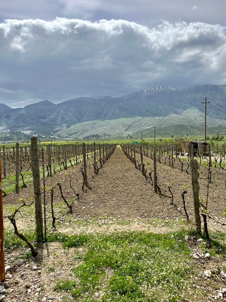 Σπιτικό φαγητό στον αμπελώνα «The Barrels - Te Fuçitë» στο χωριό Valare, έξω από το Αργυρόκαστρο