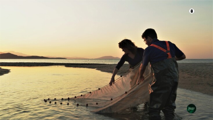 «Πράσινες Ιστορίες» η νέα σειρά της ΕΡΤ3