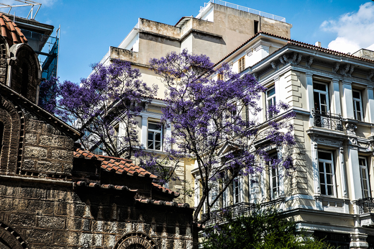 Ο Γιάννης Νένες γράφει για την καλοκαιρινή Αθήνα και όλα όσα θα δούμε στην πόλη κάτω από τους 42°C και η Μαρία Μαρκέζη φωτογραφίζει.