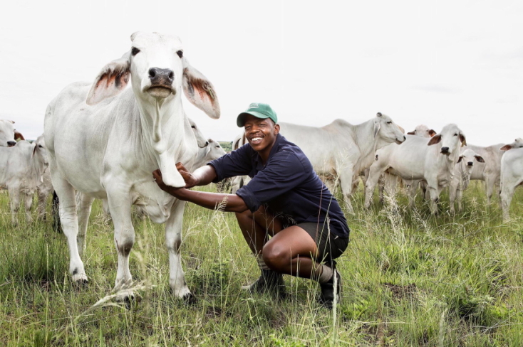 Sony World Photography Awards 