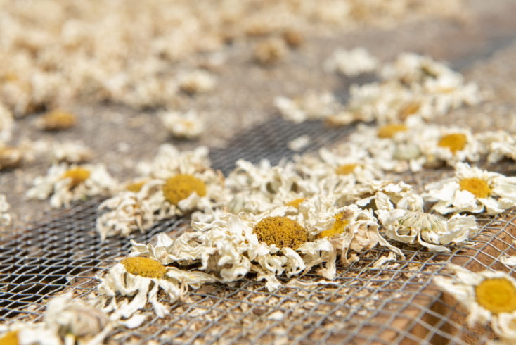 Sony World Photography Awards 