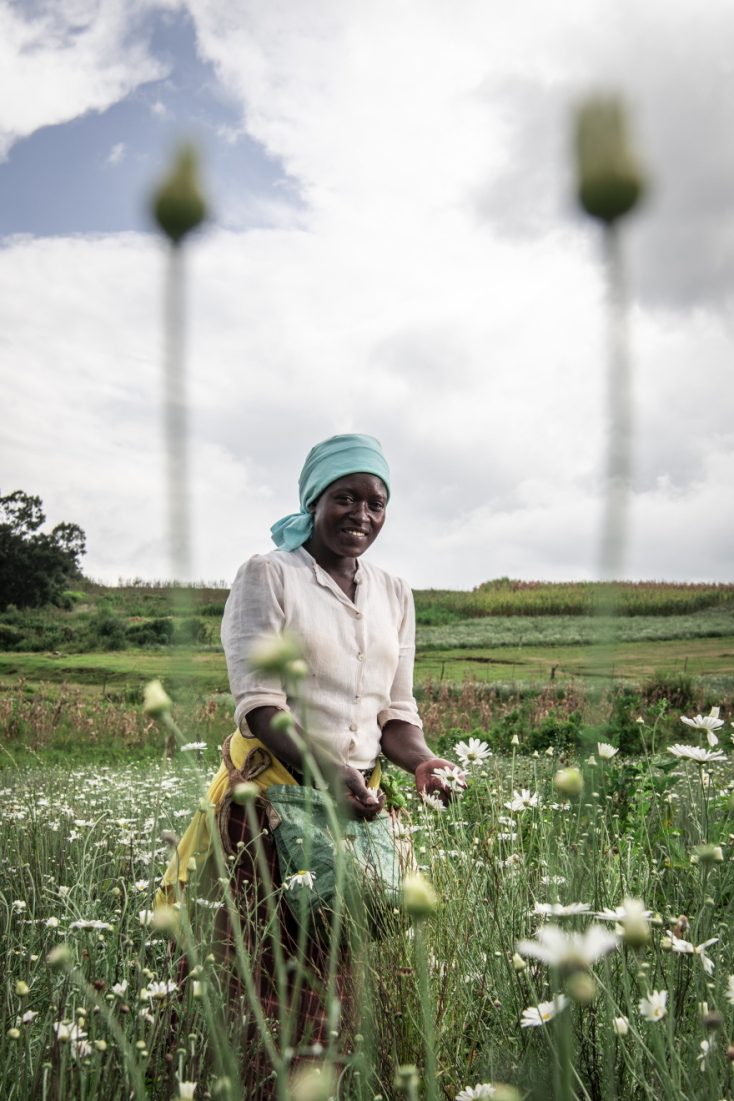 Sony World Photography Awards 