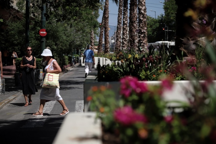 Πραγματικότητα οι φοίνικες στην Πανεπιστημίου που μπήκαν από συνεργεία του Δήμου Αθηναίων