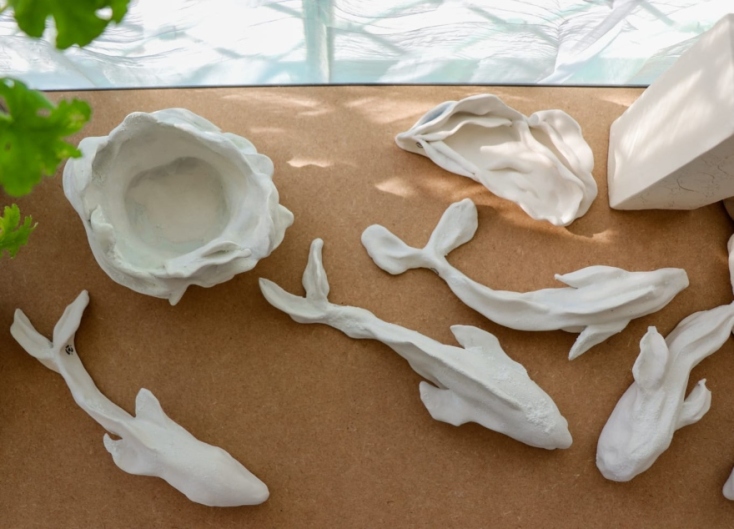 Ψάρια, στρείδια και θαλασσινά στοιχεία