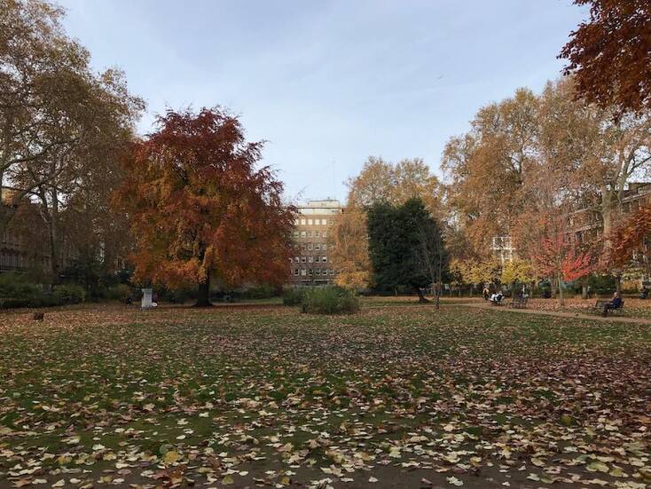  Απεργία καηγτών ΑΕΙ στην Αγγλία 