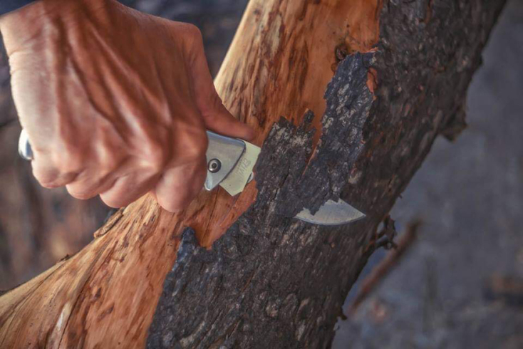 Μαριάννα Πούργαλη «23 δέντρα, μια ιστορία», Project Art 4 Mati