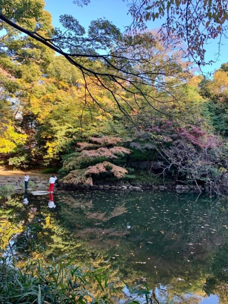 Λίμνη Sanshiro (Ikutokuen Shinji-ike), Πανεπιστήμιο του Τόκιο 