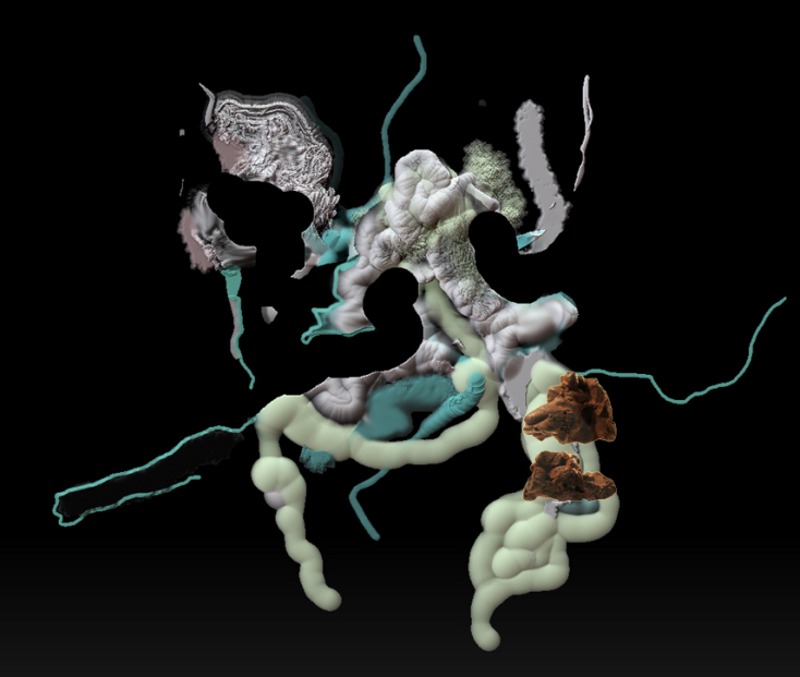 Spineless and Sublime, Εύα Παπαμαργαρίτη