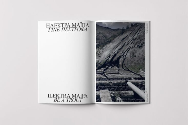 Ηλέκτρα Μάιπα - Be a trout”. Pixels project, online and printed publication, 2021