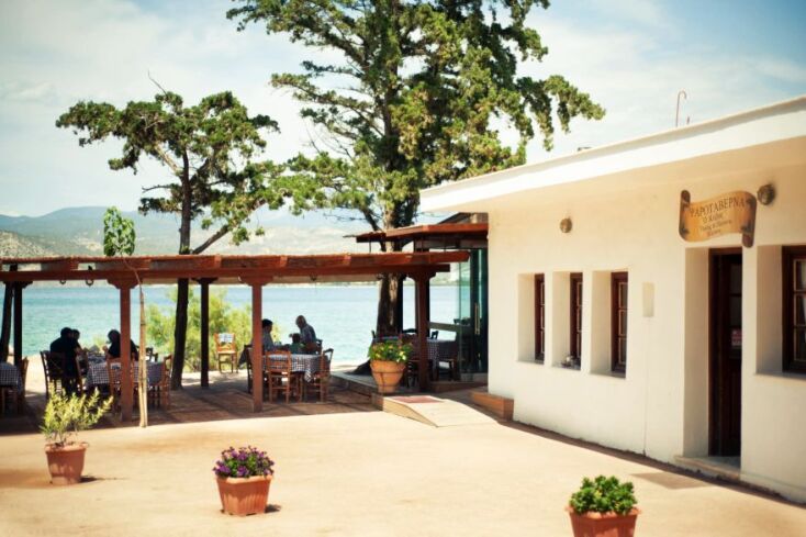 3 εξοχικές ταβέρνες κοντά στην Αθήνα