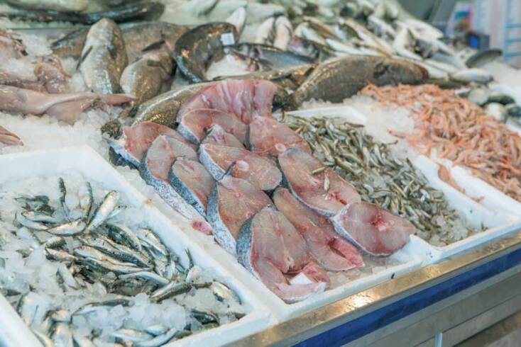 Ψητό ιχθύος