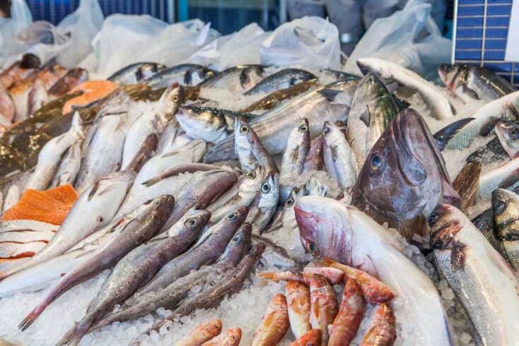 Ψητό ιχθύος