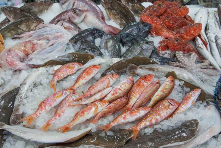 Ψαραγορά Αμφιθέας Θάλασσα