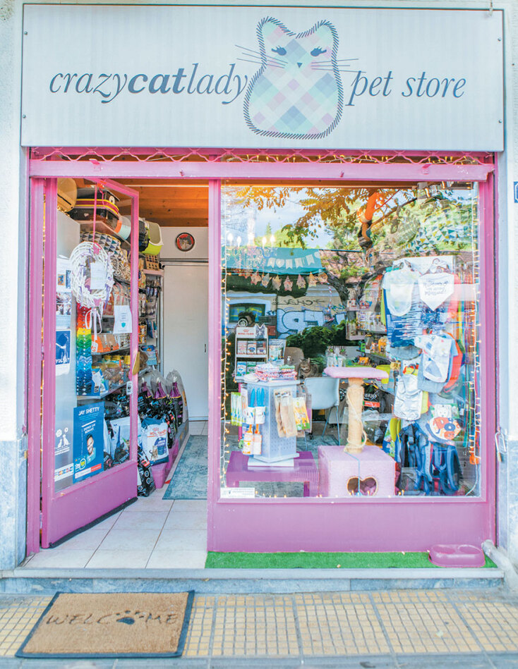 Crazy Cat Lady