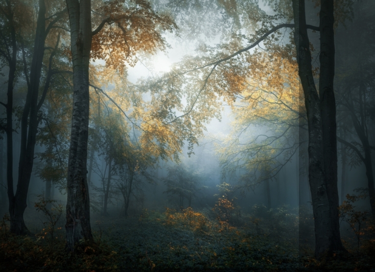 Veselin Atanasov