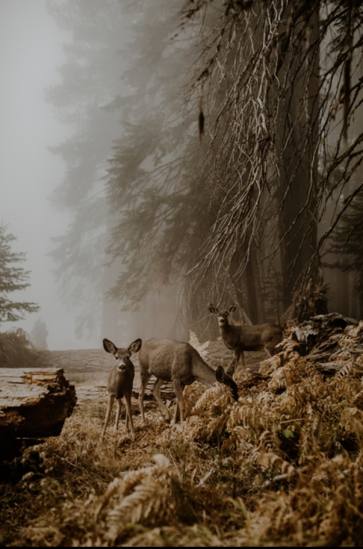 Justyna Zdunczyk, Poland