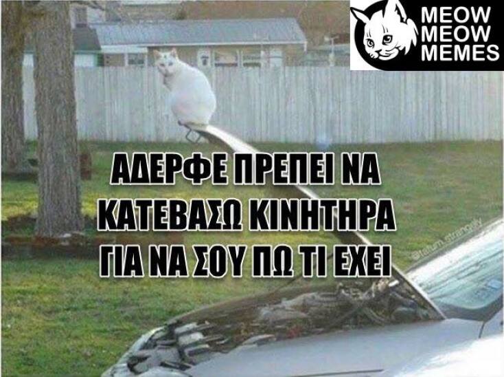 Τα yolo της Τρίτης