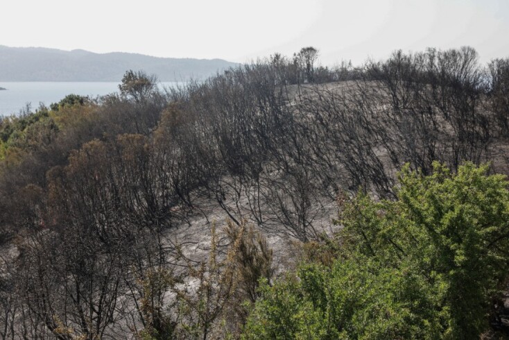 Οι πρώτες εικόνες από τη φωτιά στον Άγιο Στέφανο στον Ερημίτη Κέρκυρας