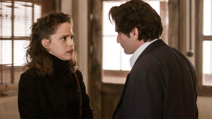 Άγριες Μέλισσες, η τηλεοπτική σειρά του ΑΝΤ1