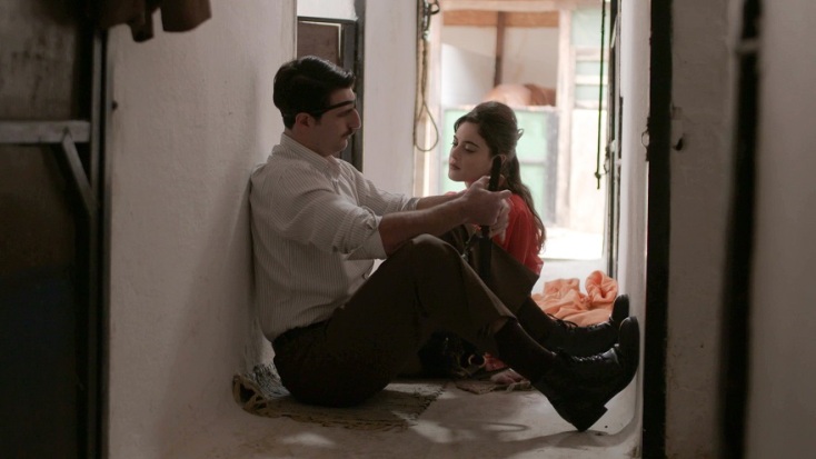 Άγριες Μέλισσες