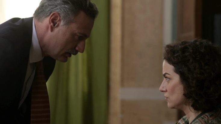 Άγριες Μέλισσες