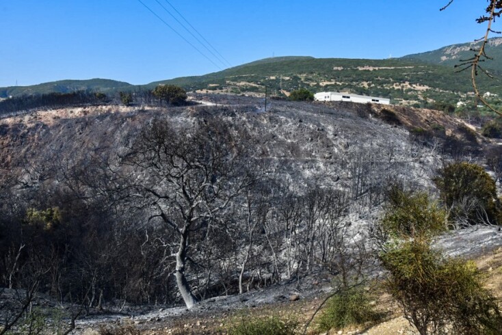 Στιγμιότυπο από την πυρκαγιά κοντά σε κατοικημένη περιοχή στην Αχαΐα,στην περιοχή Ελεκίστρα έξω από την Πάτρα © EUROKINISSI