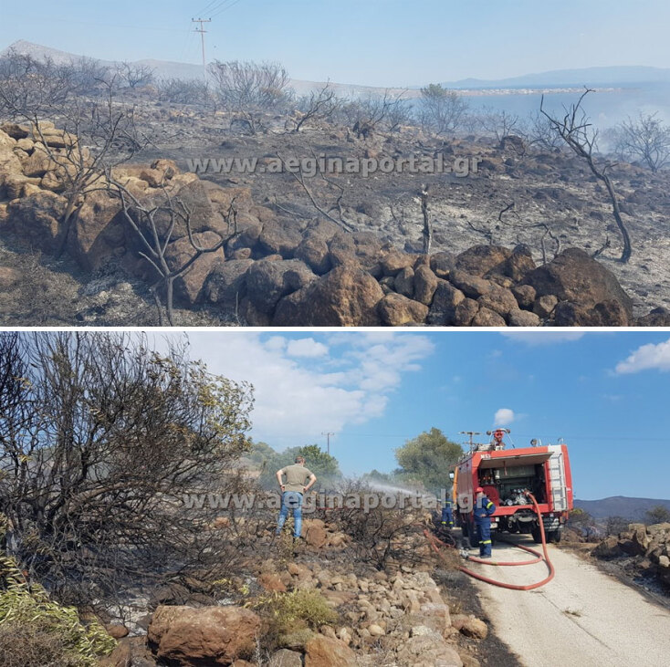 Ό,τι άφησε πίσω της η φωτιά στην Αίγινα - Άμεση η κινητοποίηση των πυροσβεστών