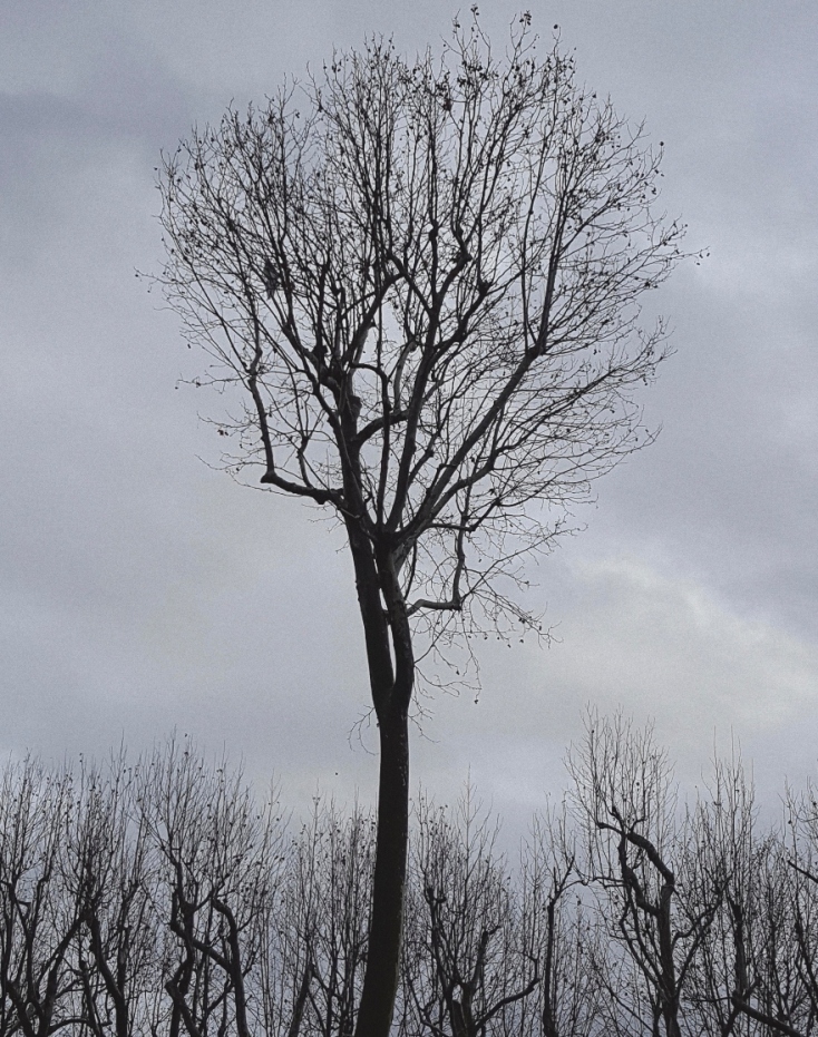 Αλεξάνδρα Αθανασιάδη, φωτογραφία από την έκθεση "Dreamscape"