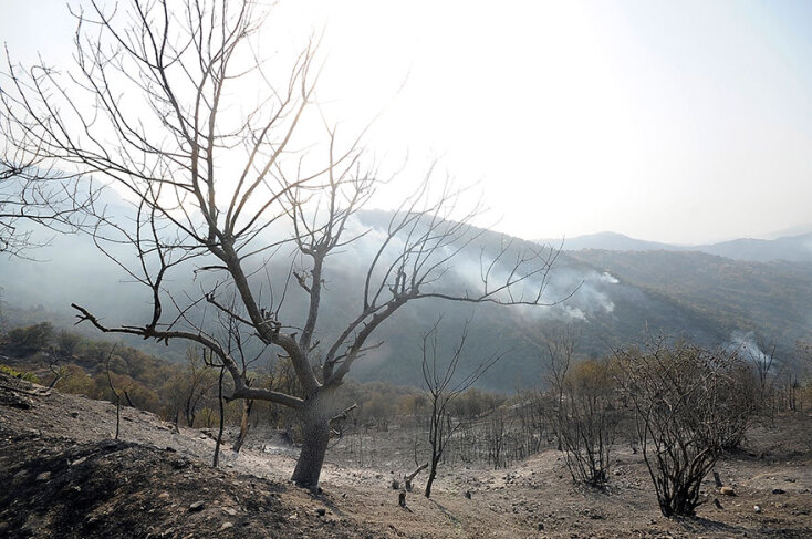 Πυρκαγιές στην Αλγερία: Καμένη γη στην Καμπυλία άφησε πίσω της η πύρινη λαίλαπα
