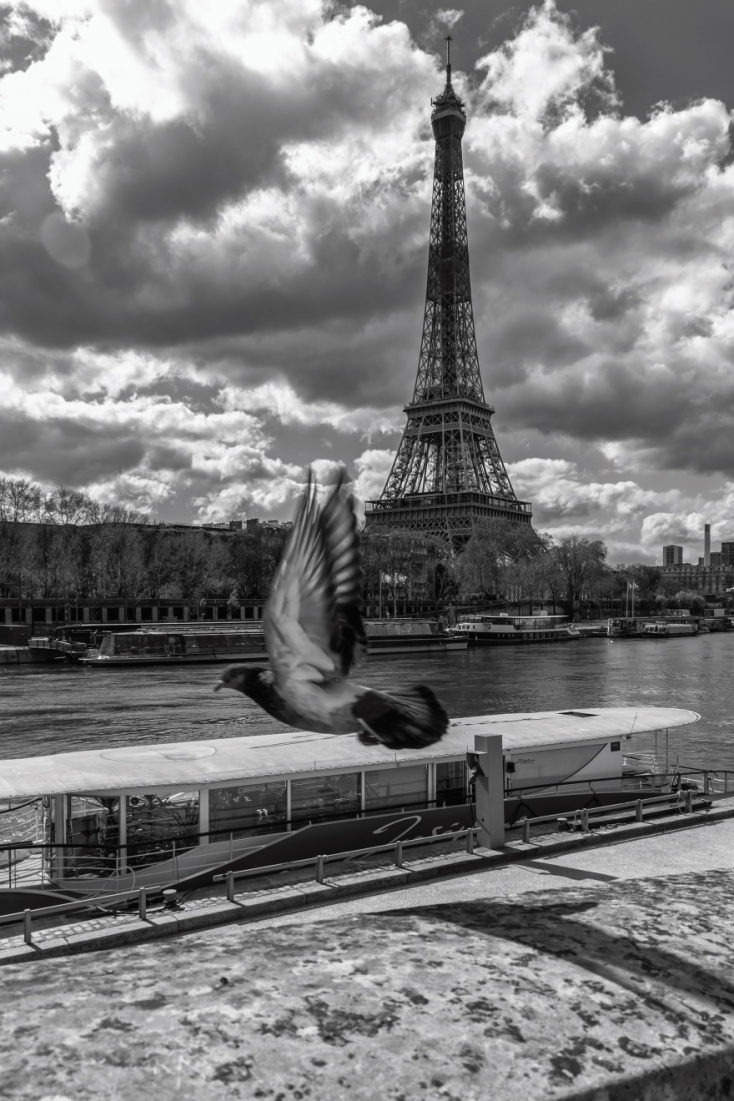 Η φωτογραφία του Νίκου Αλιάγα που επέλεξε η Anne Hidalgo, Δήμαρχος Παρισίων, για να στείλει ευχές.