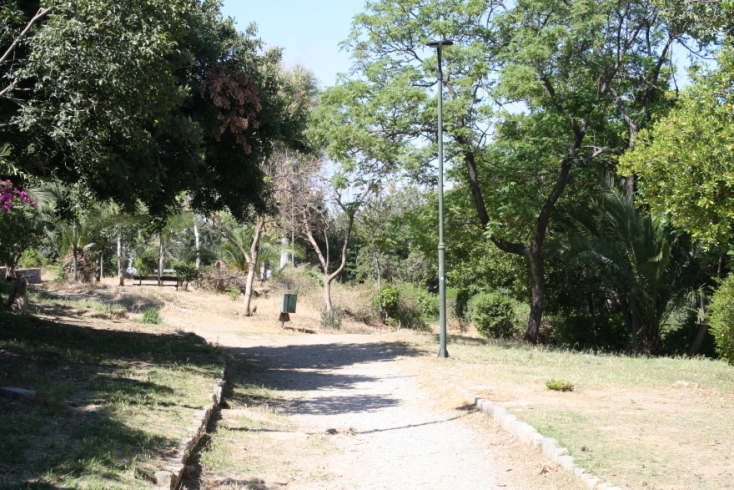 Άλσος Λογγίνου