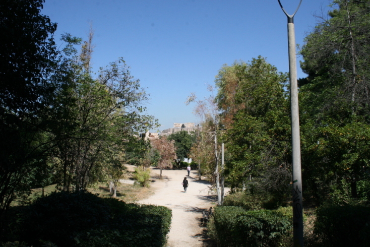 Άλσος Λογγίνου