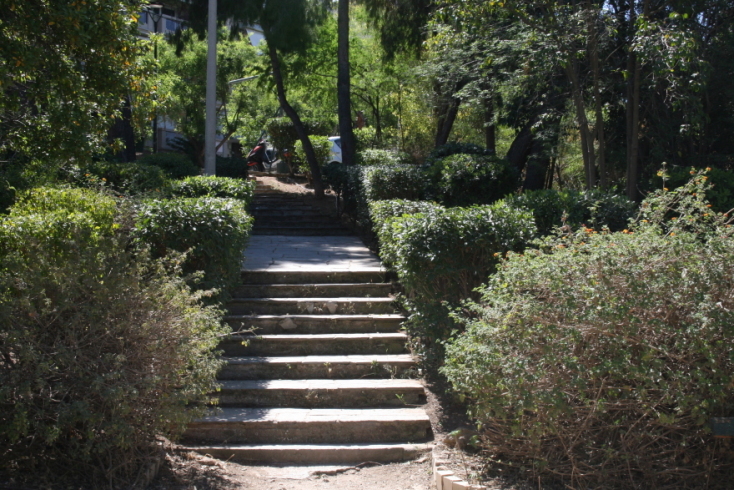 Άλσος Λογγίνου