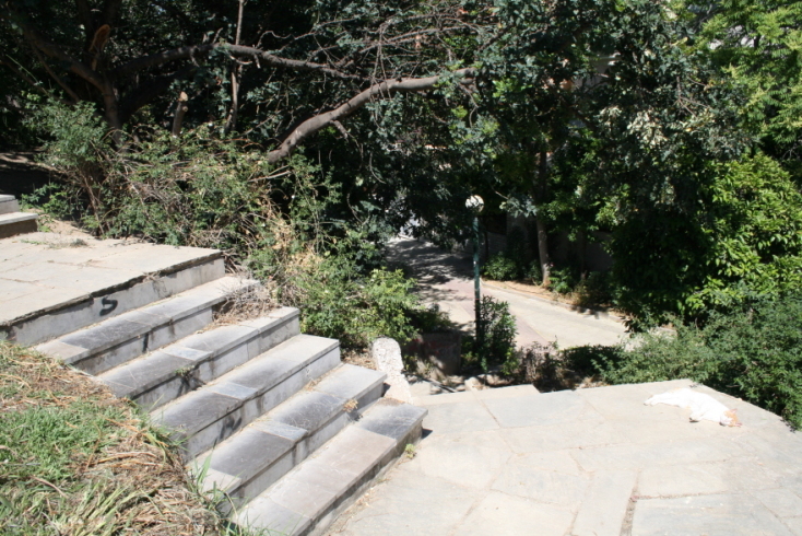 Άλσος Λογγίνου