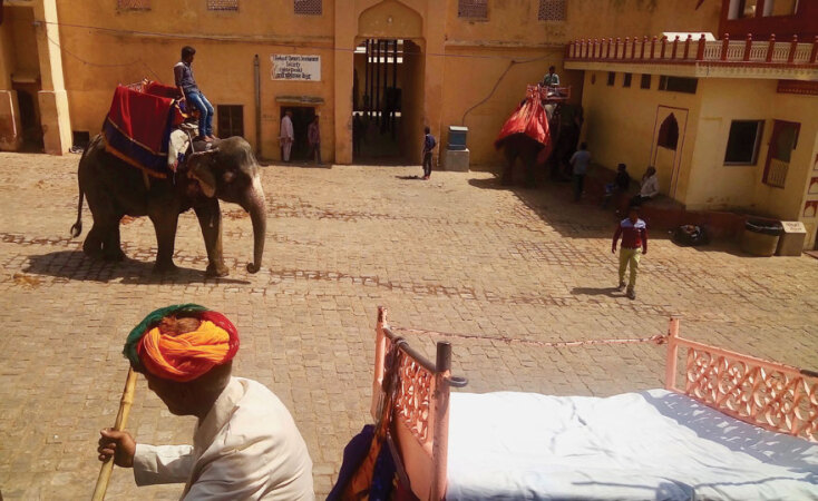 Έλενα Πέγκα, Αθήνα-Δελχί