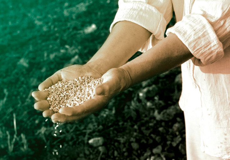 Αιμιλία Μπουρίτη, «Αγροτικά Αποτυπώματα Ασπροπύργου»