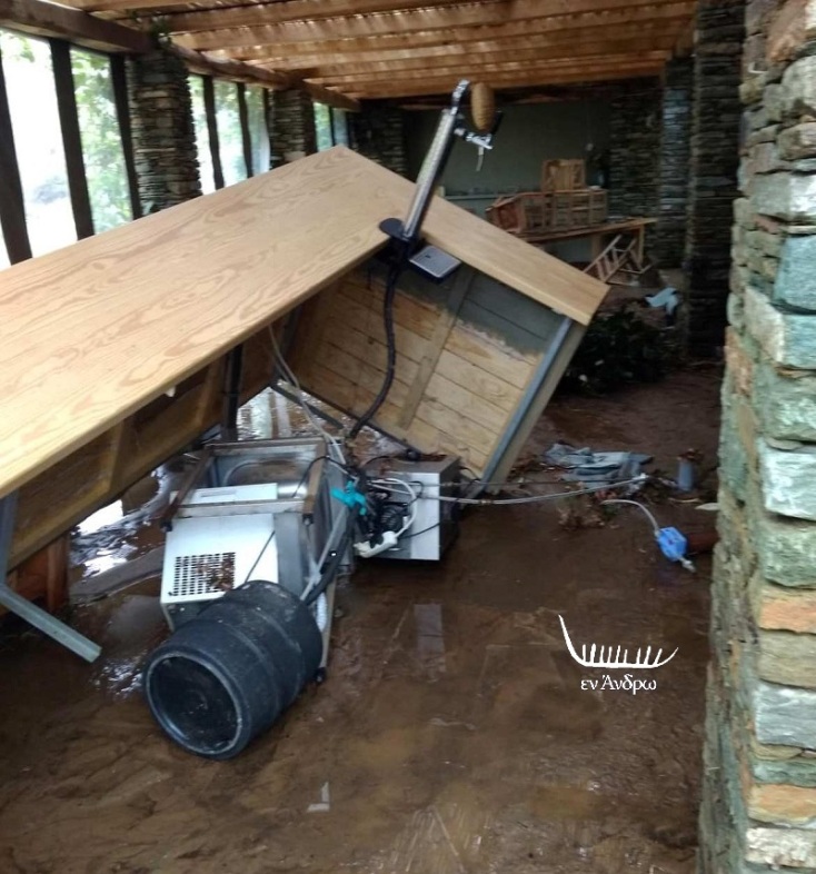 andros-menegaki-zimies4